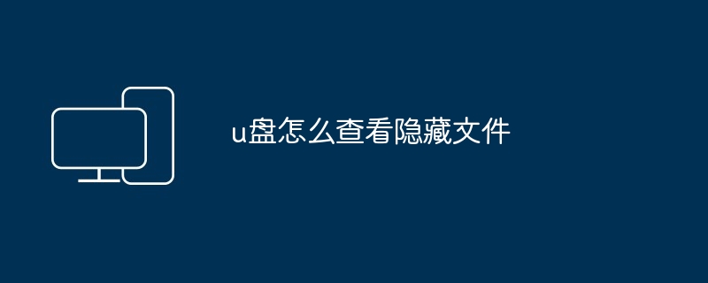 2024年u盘怎么查看隐藏文件