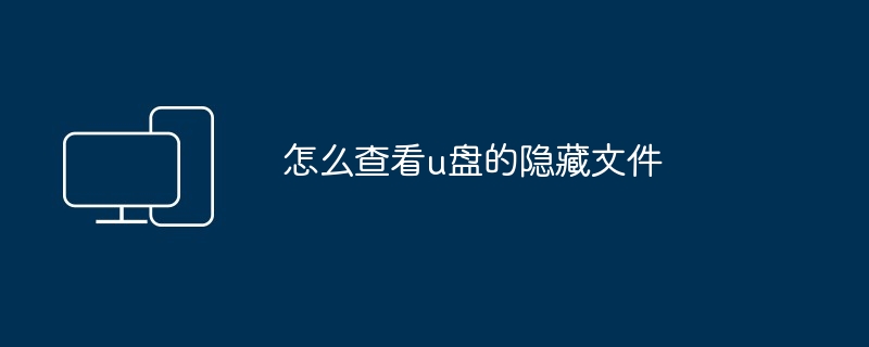 2024年怎么查看u盘的隐藏文件