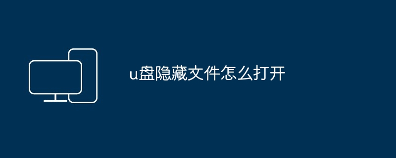 2024年u盘隐藏文件怎么打开