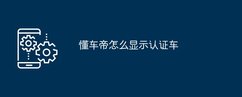 2024年懂车帝怎么显示认证车