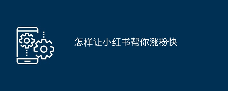 2024年怎样让小红书帮你涨粉快