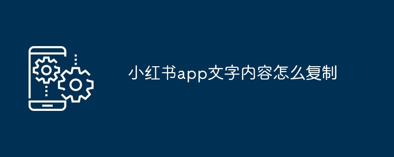 2024年小红书app文字内容怎么复制