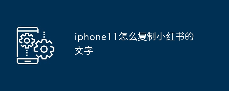 2024年iphone11怎么复制小红书的文字