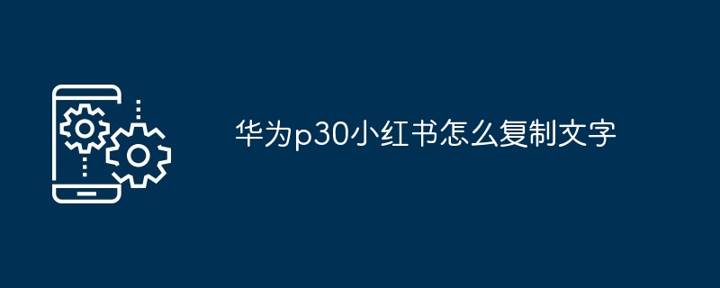 2024年华为p30小红书怎么复制文字