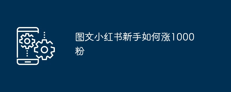 2024年图文小红书新手如何涨1000粉