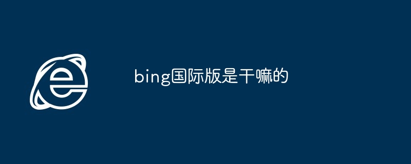 2024年bing国际版是干嘛的