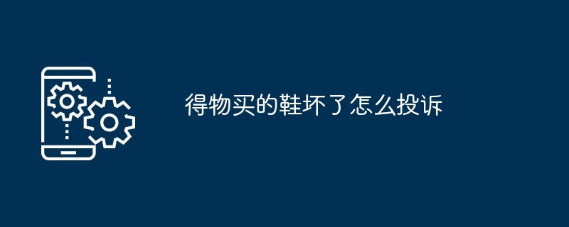 2024年得物买的鞋坏了怎么投诉