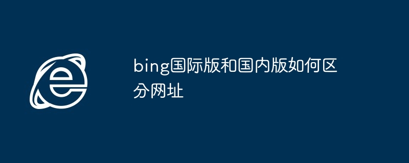 2024年bing国际版和国内版如何区分网址