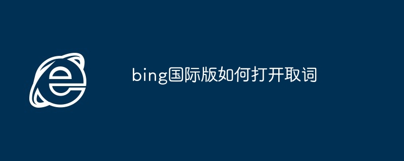 2024年bing国际版如何打开取词