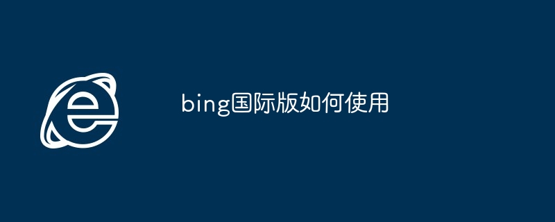 2024年bing国际版如何使用