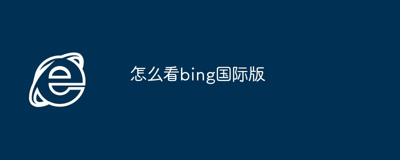 2024年怎么看bing国际版