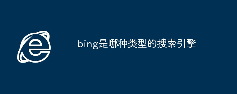 2024年bing是哪种类型的搜索引擎