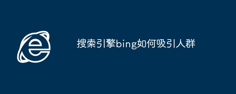 2024年搜索引擎bing如何吸引人群