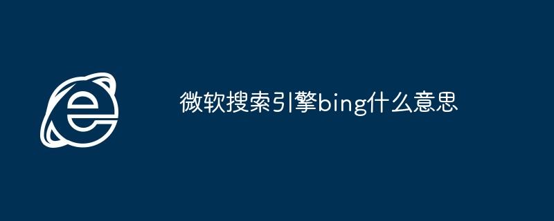 2024年微软搜索引擎bing什么意思