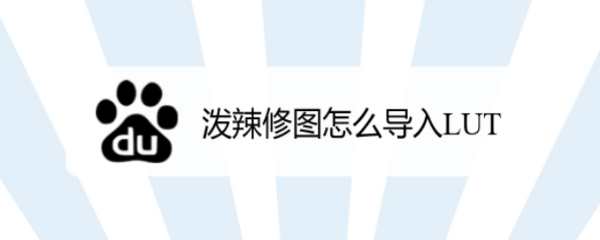 2024年泼辣修图如何导入lut 泼辣修图怎么导入LUT