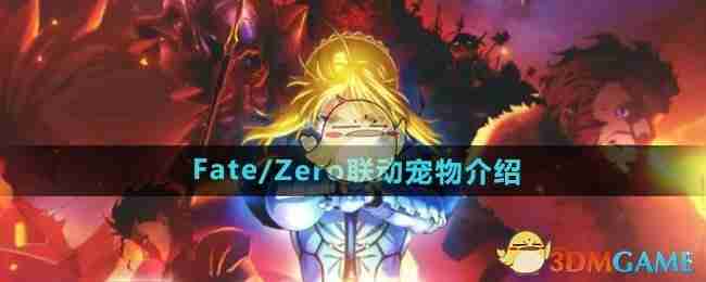 2024年《DNF》Fate/Zero联动宠物介绍