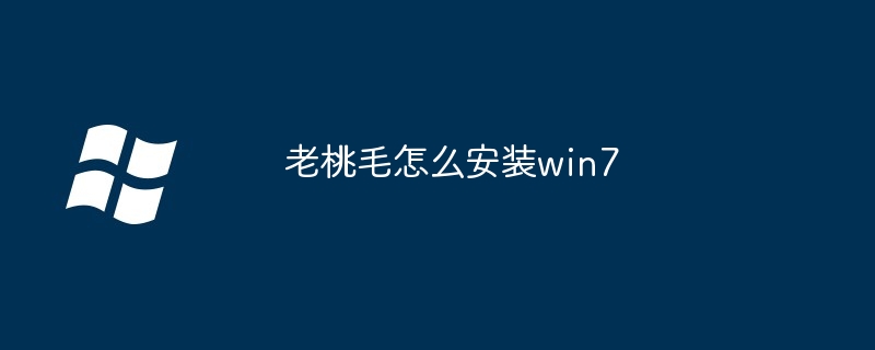 2024年老桃毛怎么安装win7