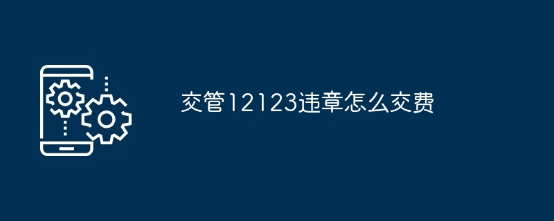 2024年交管12123违章怎么交费