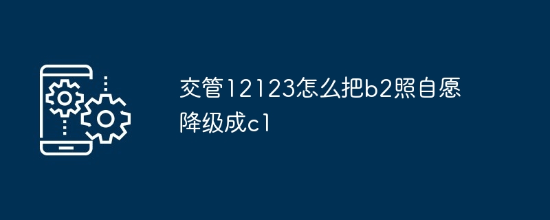 2024年交管12123怎么把b2照自愿降级成c1