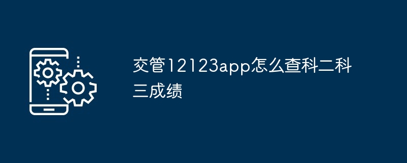 2024年交管12123app怎么查科二科三成绩