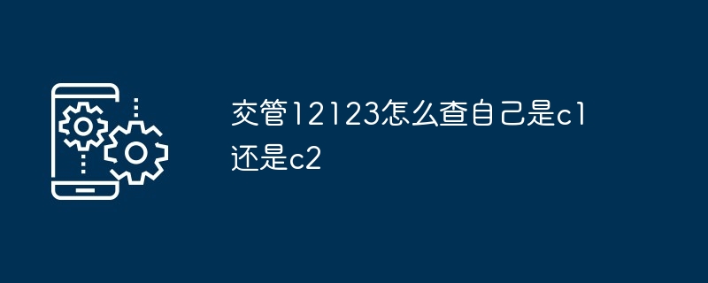 2024年交管12123怎么查自己是c1还是c2