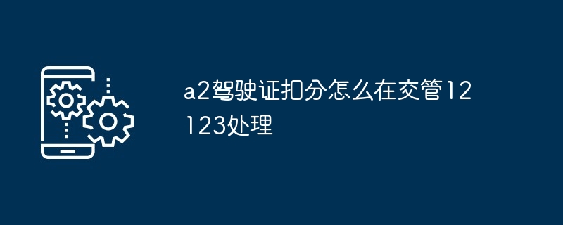 2024年a2驾驶证扣分怎么在交管12123处理