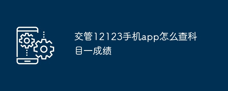 2024年交管12123手机app怎么查科目一成绩