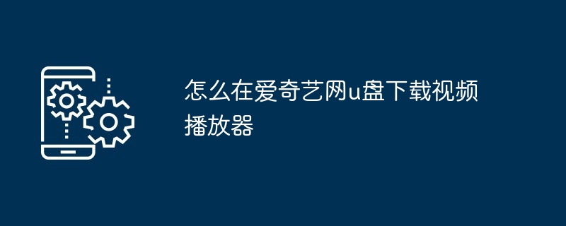 2024年怎么在爱奇艺网u盘下载视频播放器