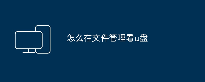 2024年怎么在文件管理看u盘