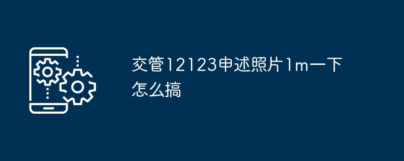 2024年交管12123申述照片1m一下怎么搞