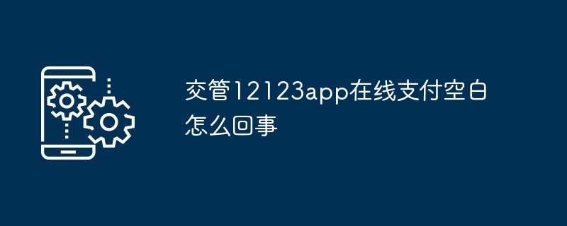 2024年交管12123app在线支付空白怎么回事