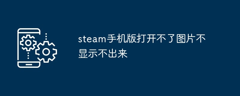 2024年steam手机版打开不了图片不显示不出来