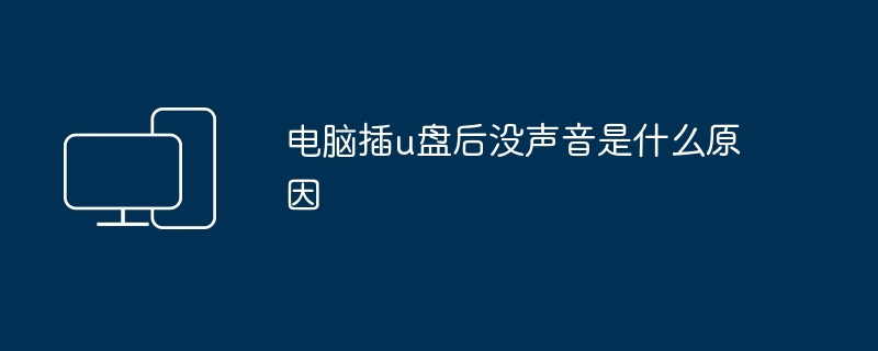 2024年电脑插u盘后没声音是什么原因