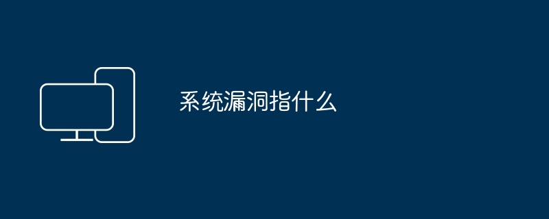 2024年系统漏洞指什么