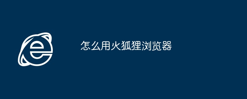 2024年怎么用火狐狸浏览器