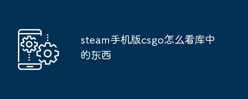 2024年steam手机版csgo怎么看库中的东西