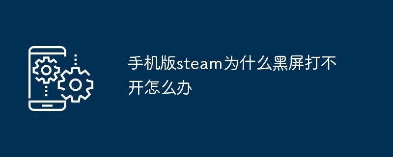 2024年手机版steam为什么黑屏打不开怎么办