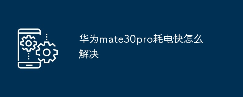 2024年华为mate30pro耗电快怎么解决