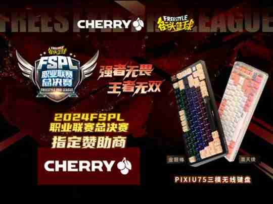 2024年王者无双 CHERRY赞助2024FSPL职业联赛总决赛