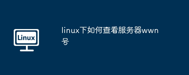 2024年linux下如何查看服务器wwn号