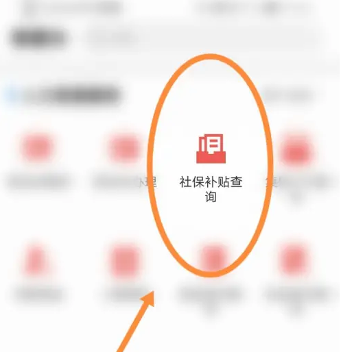 2024年沈阳政务服务app怎么查询社保 沈阳政务服务查询社保补贴方法