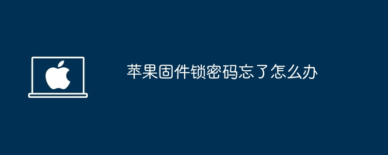 2024年苹果固件锁密码忘了怎么办