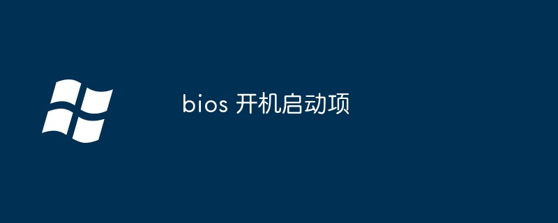 2024年bios 开机启动项