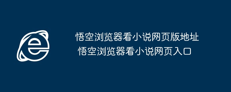 2024年悟空浏览器看小说网页版地址 悟空浏览器看小说网页入口