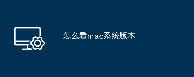 2024年怎么看mac系统版本