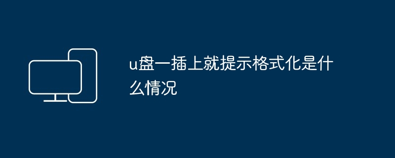 2024年u盘一插上就提示格式化是什么情况