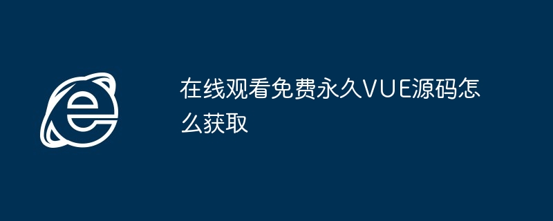 2024年在线观看免费永久VUE源码怎么获取